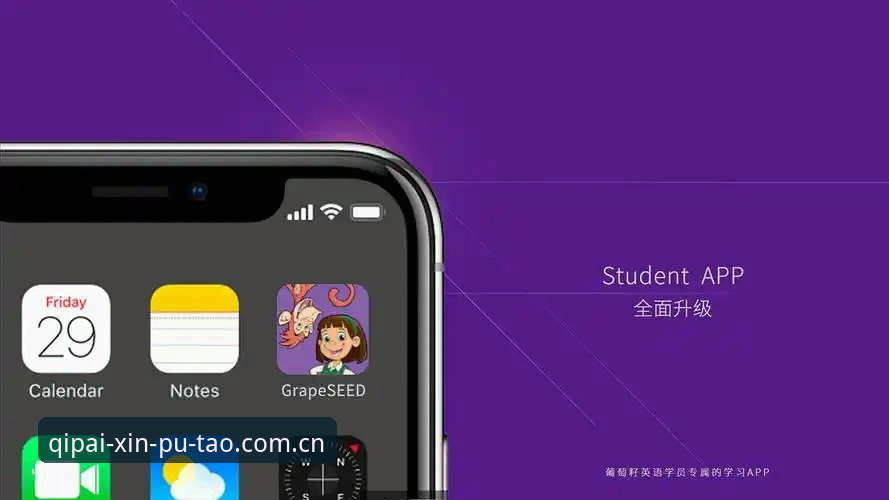 新葡萄娱乐趣版官方app vs 网页版：最新下载安装全面对比